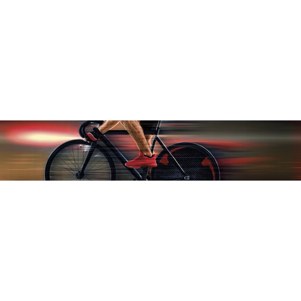 Bicicletas